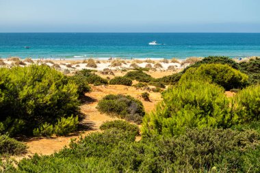 Sancti Petri, Cadiz, İspanya 'daki La Barrosa plajına erişim sağlayan kum tepeleri.