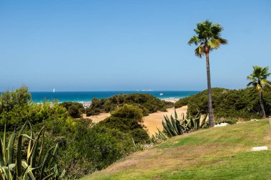 Sancti Petri, Cadiz, İspanya 'daki La Barrosa plajına erişim sağlayan kum tepeleri.