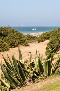 Sancti Petri, Cadiz, İspanya 'daki La Barrosa plajına erişim sağlayan kum tepeleri.
