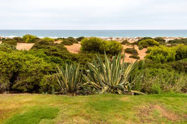 Sancti Petri, Cadiz, İspanya 'daki La Barrosa plajına erişim sağlayan kum tepeleri.