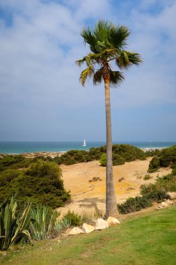 Sancti Petri, Cadiz, İspanya 'daki La Barrosa plajına erişim sağlayan kum tepeleri.