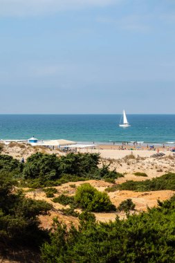 Sancti Petri, Cadiz, İspanya 'daki La Barrosa plajına erişim sağlayan kum tepeleri.