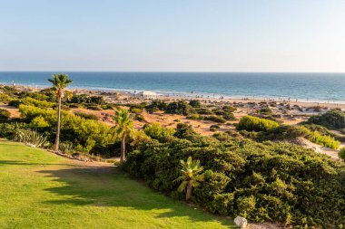 Sancti Petri, Cadiz, İspanya 'daki La Barrosa plajına erişim sağlayan kum tepeleri.