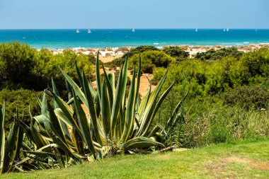 Sancti Petri, Cadiz, İspanya 'daki La Barrosa plajına erişim sağlayan kum tepeleri.