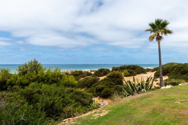 Sancti Petri, Cadiz, İspanya 'daki La Barrosa plajına erişim sağlayan kum tepeleri.