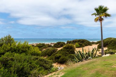 Sancti Petri, Cadiz, İspanya 'daki La Barrosa plajına erişim sağlayan kum tepeleri.