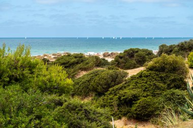 Sancti Petri, Cadiz, İspanya 'daki La Barrosa plajına erişim sağlayan kum tepeleri.