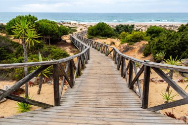 Sancti Petri, Cadiz, İspanya 'daki La Barrosa plajına erişim sağlayan kum tepeleri.