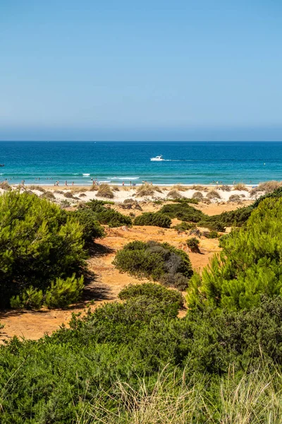 Песчаные Дюны Дающие Доступ Пляжу Барроса Санкти Петри Кадис Испания — стоковое фото