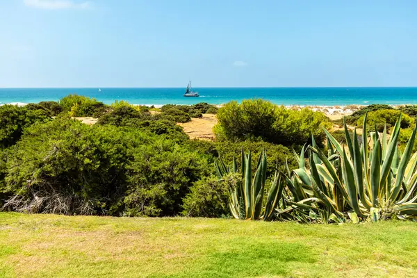 stock image sand dunes that give access to La Barrosa beach in Sancti Petri, Cadiz, Spain