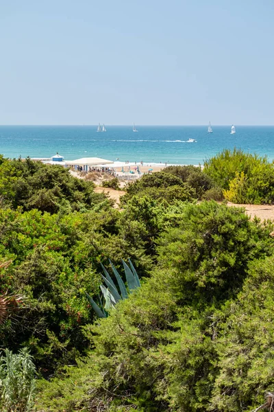 stock image sand dunes that give access to La Barrosa beach in Sancti Petri, Cadiz, Spain