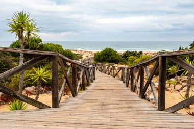 Sancti Petri, Cadiz, İspanya 'da La Barrosa sahilindeki kum tepeleri