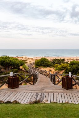 Sancti Petri, Cadiz, İspanya 'da La Barrosa sahilindeki kum tepeleri