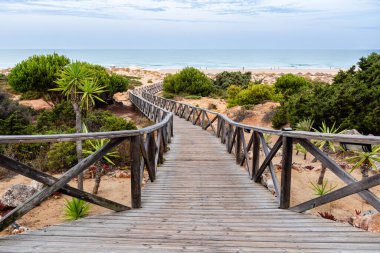 Sancti Petri, Cadiz, İspanya 'da La Barrosa sahilindeki kum tepeleri