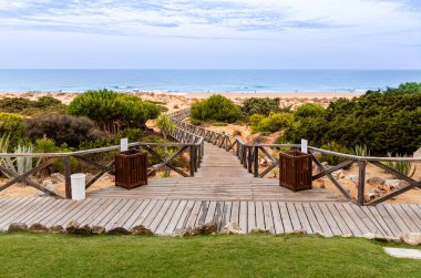 Sancti Petri, Cadiz, İspanya 'da La Barrosa sahilindeki kum tepeleri