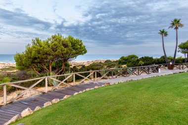 Sancti Petri, Cadiz, İspanya 'da La Barrosa sahilindeki kum tepeleri