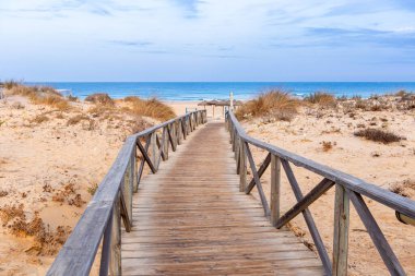 Sancti Petri, Cadiz, İspanya 'da La Barrosa sahilindeki kum tepeleri