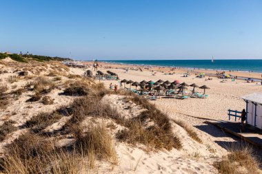 La Barrosa plajı, sular çekildiğinde, Sancti Petri, Chiclana de la Frontera, Cadiz, İspanya