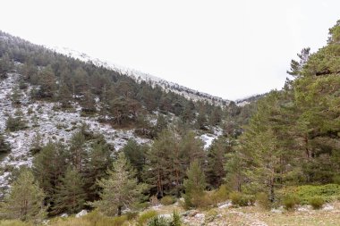 Madrid 'deki Sierra de Guadarrama' da ilk kar yağışı ile hafif karlı bir manzara.