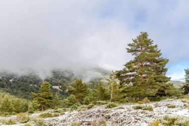 Madrid 'deki Sierra de Guadarrama' da ilk kar yağışı ile hafif karlı bir manzara.