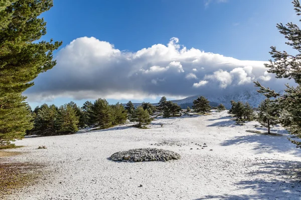 Något Snöigt Landskap Med Det Första Snöfallet Sierra Guadarrama Madrid — Stockfoto
