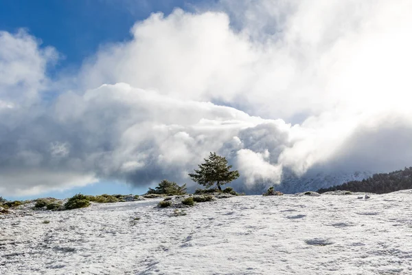 Paisaje Ligeramente Nevado Con Primera Nevada Sierra Guadarrama Madrid — Foto de Stock