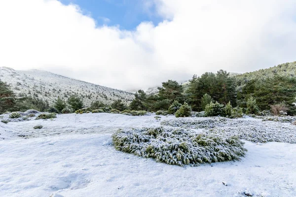 Något Snöigt Landskap Med Det Första Snöfallet Sierra Guadarrama Madrid — Stockfoto