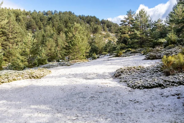 Paysage Légèrement Enneigé Avec Les Premières Chutes Neige Sierra Guadarrama — Photo