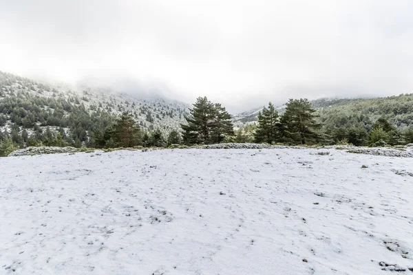 Leicht Verschneite Landschaft Mit Dem Ersten Schneefall Der Sierra Guadarrama — Stockfoto
