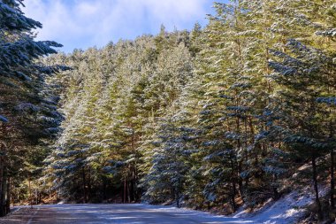 Madrid 'deki Sierra de Guadarrama dağlarında hafif karlı bir yol 2022 yılının ilk karı ile