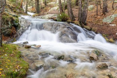 Madrid 'deki Sierra de Guadarrama dağlarında beyaz su