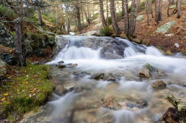 Madrid 'deki Sierra de Guadarrama dağlarında beyaz su