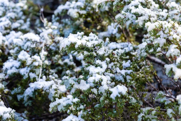Ελαφρώς Χιονισμένο Τοπίο Την Πρώτη Χιονόπτωση Στη Sierra Guadarrama Στη — Φωτογραφία Αρχείου