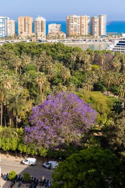 Malaga 'nın tarihi merkezinin sokakları. İspanya' nın Malaga şehrinde turistler sokaklarda yürüyor.