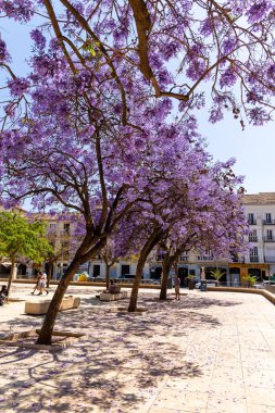 Malaga 'nın tarihi merkezinin sokakları. İspanya' nın Malaga şehrinde turistler sokaklarda yürüyor.