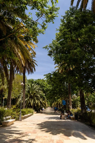 Malaga 'nın tarihi merkezinin sokakları. İspanya' nın Malaga şehrinde turistler sokaklarda yürüyor.