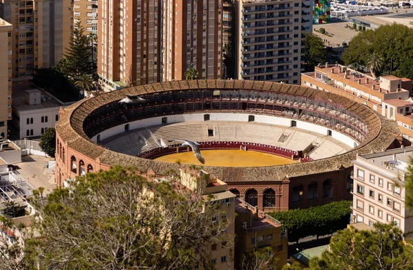 Arène Malaga Parmi Les Bâtiments Environnants Dans Centre Ville Malaga — Photo