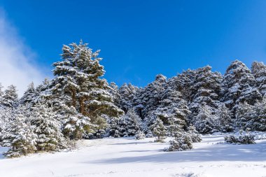 Guadarrama, Madrid 'deki Cotos limanında karlı dağlar