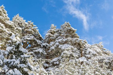 Guadarrama, Madrid 'deki Cotos limanında karlı dağlar