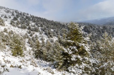 Guadarrama, Madrid 'deki Cotos limanında karlı dağlar