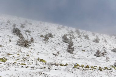Madrid dağlarındaki Glacial Lagoon bölgesinin adı Laguna Grande de Penalara