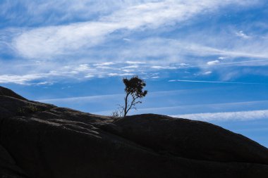 Sierra de Guadarrama, Madrid, İspanya 'da La Pedriza adı verilen granit kayalıklardan oluşan doğal park.