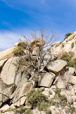 Sierra de Guadarrama, Madrid, İspanya 'da La Pedriza adı verilen granit kayalıklardan oluşan doğal park.