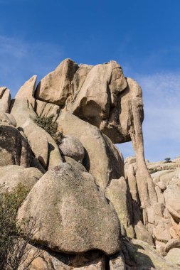 Sierra de Guadarrama, Madrid 'deki La Pedriza dağlarında granit tarafından oluşturulan küçük fil adı verilen kaya.