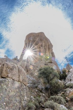 Sierra de Guadarrama, Madrid 'deki La Pedriza dağlarında granit tarafından oluşturulan küçük fil adı verilen kaya.