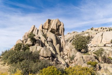 Sierra de Guadarrama, Madrid 'deki La Pedriza dağlarında granit tarafından oluşturulan küçük fil adı verilen kaya.
