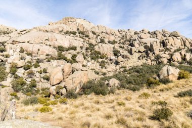 Sierra de Guadarrama, Madrid, İspanya 'da La Pedriza adı verilen granit kayalıklardan oluşan doğal park.