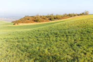 İspanya 'nın Toledo eyaletindeki tahıl tarlaları