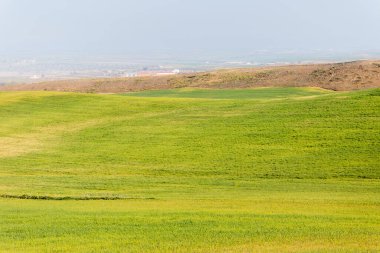 İspanya 'nın Toledo eyaletindeki tahıl tarlaları