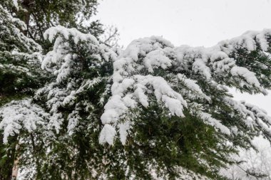 Historic snowfall over the city in Carabanchel district in Madrid